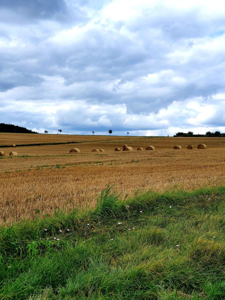 Unterwegs in der Natur 2021 (2021)