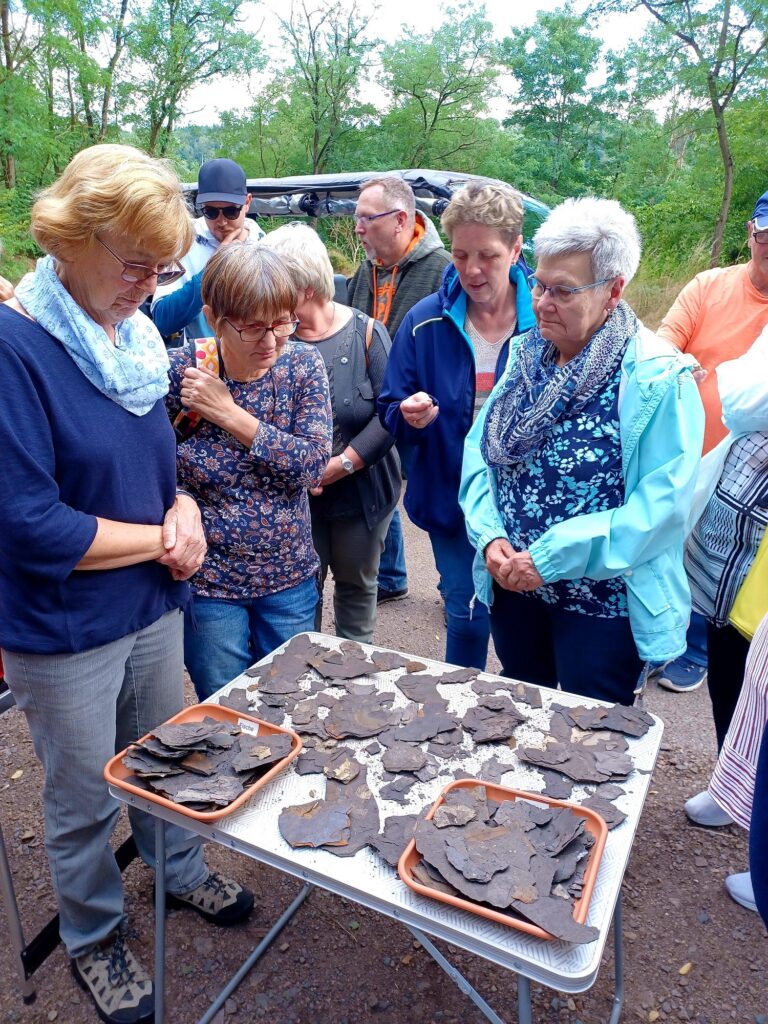 Auf den Spuren der Evolution - Ausflug zur Grube Messel (2023)