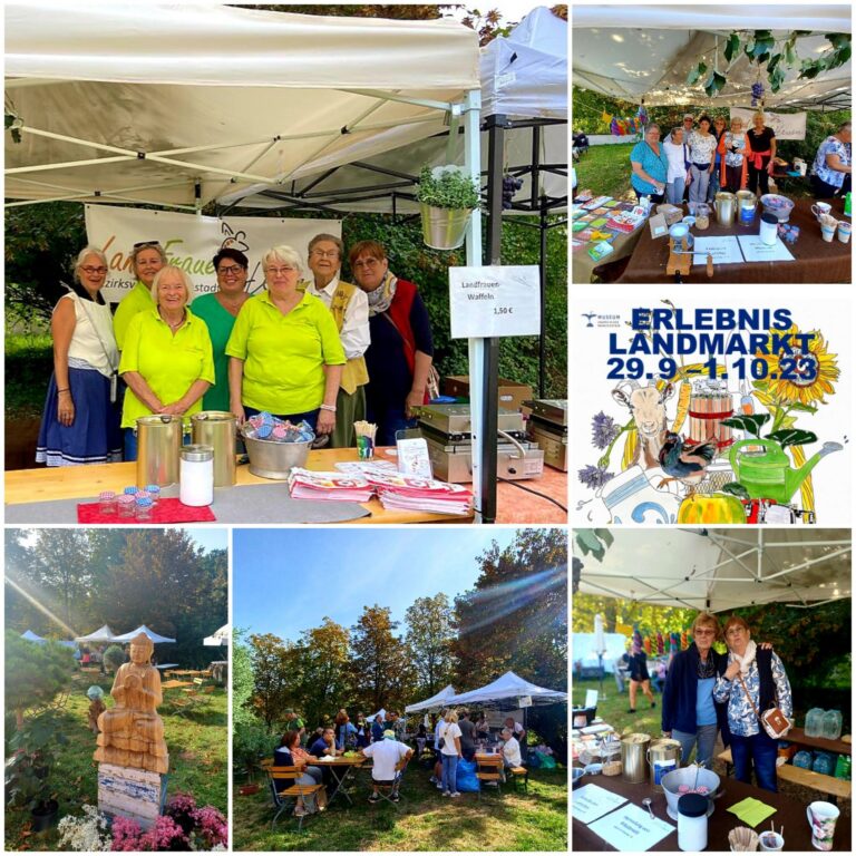 Landmarkt in Kranichstein und Erntedankdeko (2023)