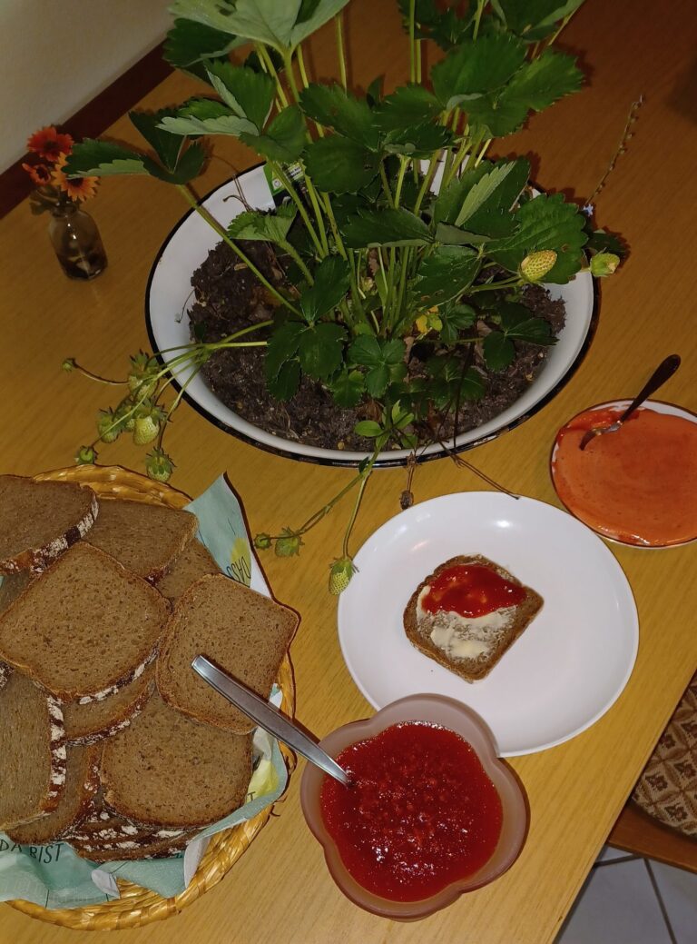 Dinnä mit Kinnä - Alles rund um die Erdbeere ;-) (2025)
