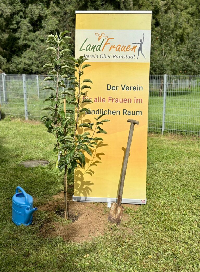 Und dann kam noch die Apfelbaum-Challenge! (2025)