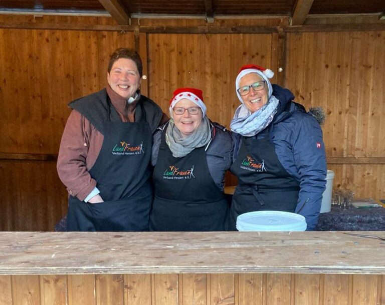 Weihnachtsmarkt bei DAW 2020 (2020)
