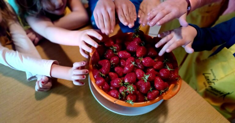 Kinderkochen im ev. Familienzentrum und im AWO-Kindergarten (2024)